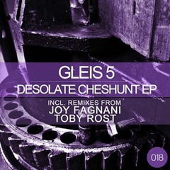Gleis 5 - Desolate Cheshunt (Joy Fagnani Remix)