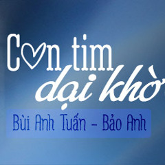 Con Tim Dại Khờ - Bảo Anh, Bùi Anh Tuấn