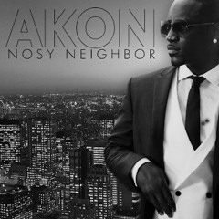 Takin it off - Akon