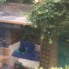 Bosen jammer