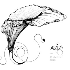 'Aziz & Dal' Album - Rusholme Rock - 'SAMPLER'