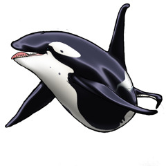 Chiller Whale Selects 8-26-14