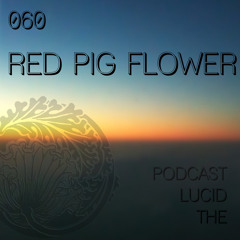 THE LUCID PODCAST 060 RED PIG FLOWER