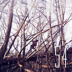 Wertn - playlist of the week #54