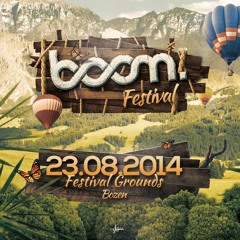Zwette @ Boom. Festival 2014