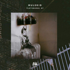 shh009: MULEKID - Plattsburgh, NY