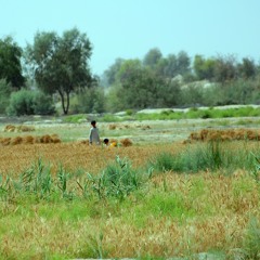Je halo haalo mani Balochistan