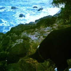 李宗盛 - 漂洋過海來看你 (cover)