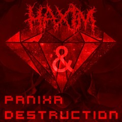 Panixa Destruction X HaXim - Connection [FREE]
