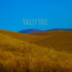 Valley Soul - Sound Mind