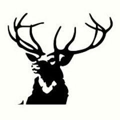 Stag Belly - Deep House - Woods Mix