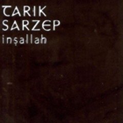 12 Tarik Sarzep - Time Is Out