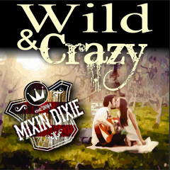 Wild And Crazy - Mixin Dixie