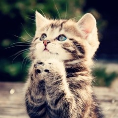 Everytime I Look For You - Blink 182 Acoustic Cover