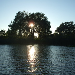 Crystelina - MxPx Cover (Acoustic)