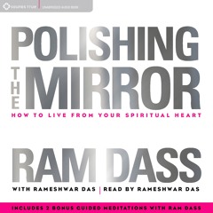 Polishing the Mirror Audiobook Excerpt - "Karma Yoga, Living in the World"