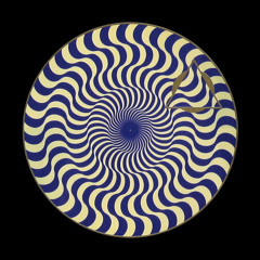 Brain Tuner - Beehive Vision (Unmastered)