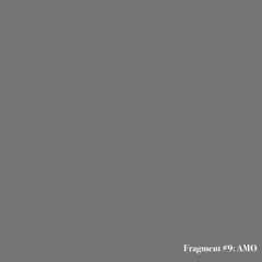 Fragment#9 - Amo