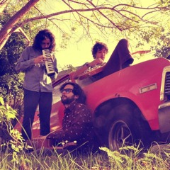 Indigo -Oda A Los Animales.mp3