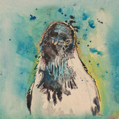 Screeching High-Pitched Lonesome Sound