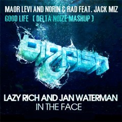 Maor Levi And Norin & Rad vs. Lazy Rich & Jan Waterman - Good Life In The Face (Delta Noize Mashup)