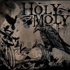 The Cardinal And The Mockingbird