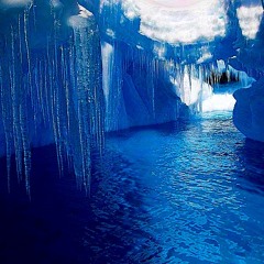 TLC - Creep  (chopped and frozen)