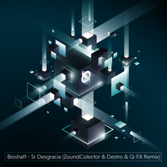 Bioshaft - Sr Desgracia (ZoundColector, Q-FX, Destro Remix)