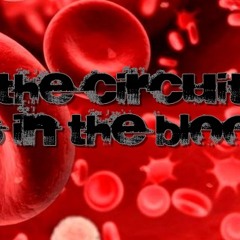 The Circuit Is In The Blood By Kervin Castaño