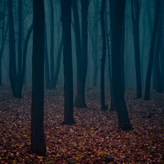 Dark Mystery:  Title Sequence