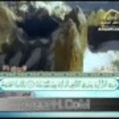 سورة الجن بصوت ميثم التمار