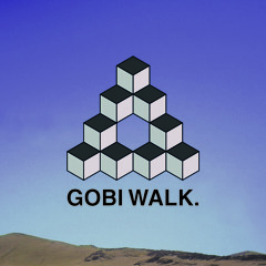 The Gobi Walk
