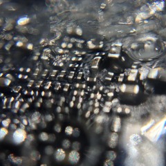 Holy Halls Are Coming