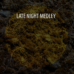 gudleifr - Late Night Medley