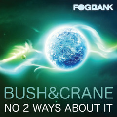 Bush & Crane - No 2 Ways About It (Original Mix)