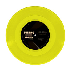 DSR7002 Vinyl preview - Dubbing Sun & Digid meets Clinton Sly
