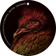 Ken Ishii - Twitched (Submerge Remix / Owslah & Goetz Remix) (Preview) [Different Is Different]
