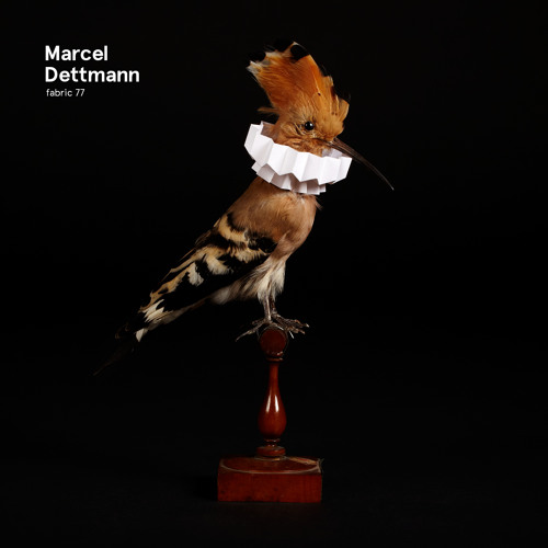 fabric 77: Marcel Dettmann promo mix