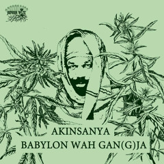 Akinsanya - Babylon Wah Gan(G)Ja [Junior Wize Production 2014]