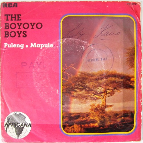Puleng - The Boyoyo Boys