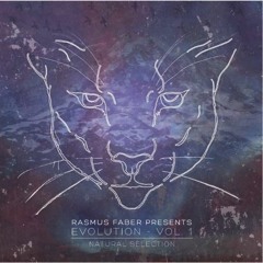 Evolution Vol. 1 - Natural Selection (DJ mix)