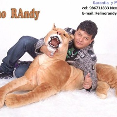 donde estaras EL FELINO RANDY Y LOS SUPER GENETICOS