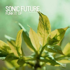 Sonic Future - Funk It Up (Thomaz Krauze Remix) OUT NOW [Enormous Tunes]