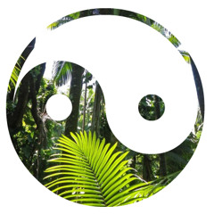 Chilled House Creations 2 (TokeAhontas Edit)