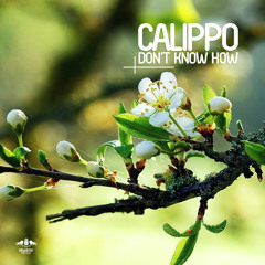 Calippo - Don't Know How (Original Mix)
