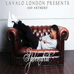 10 Still Here Puffin (I Dont Give A F &k)