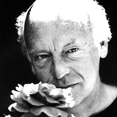 Roses Don't Need Perfume