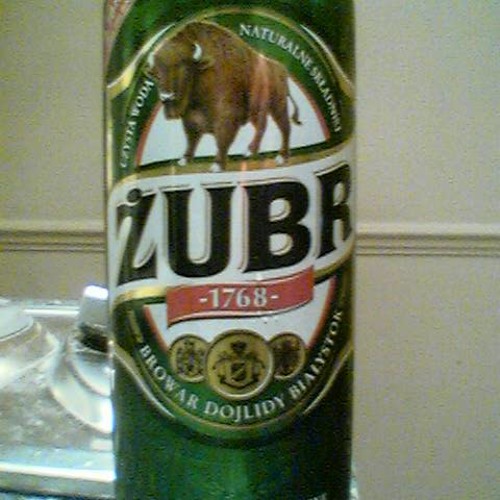 Zubr