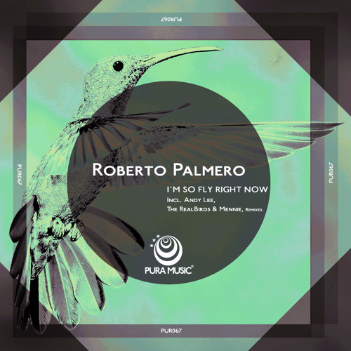 PUR067  Roberto Palmero - Im So Fly Right Now  Incl ( Andy Lee , The RealBirds & Mennie Remixes )