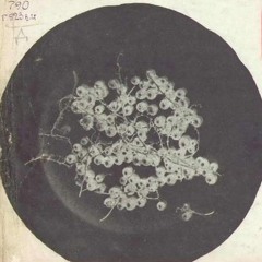 Dva Zagorodnyh Doma - №02